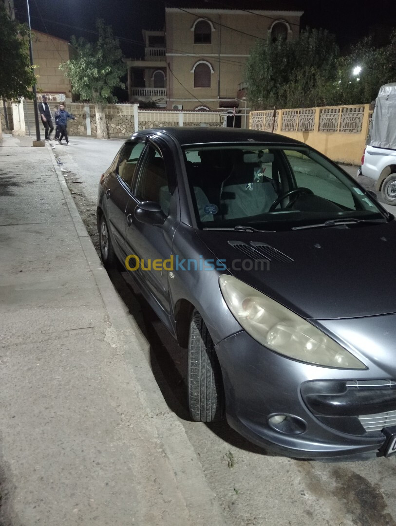 Peugeot 206 Plus 2009 206 Plus