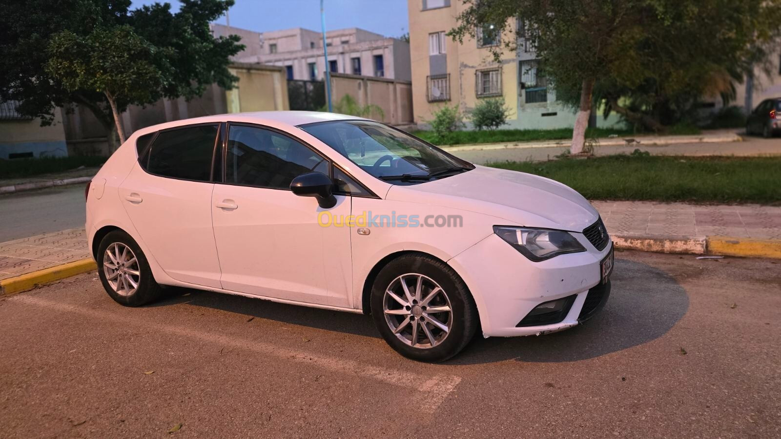 Seat Ibiza 2013 Fully