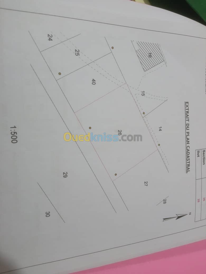 Vente Terrain Bordj bou arreridj El achir