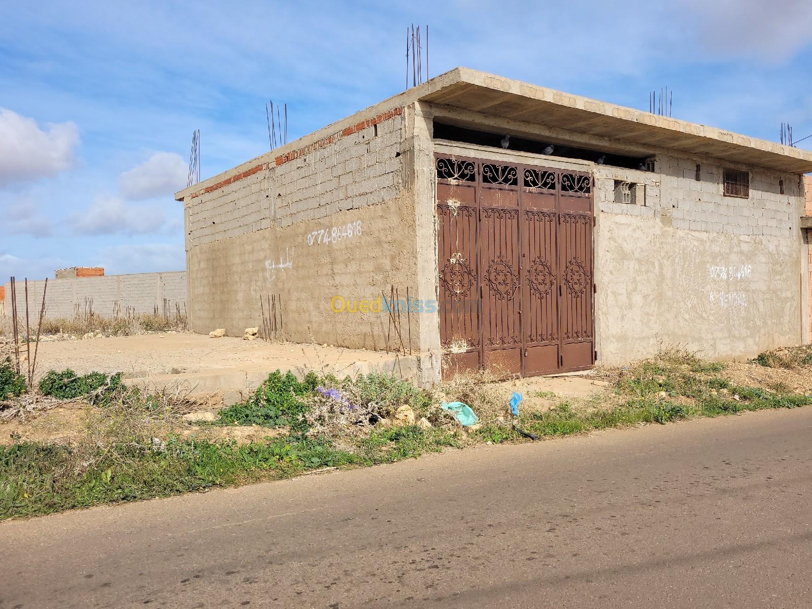 Vente Carcasse Aïn Témouchent Sidi safi