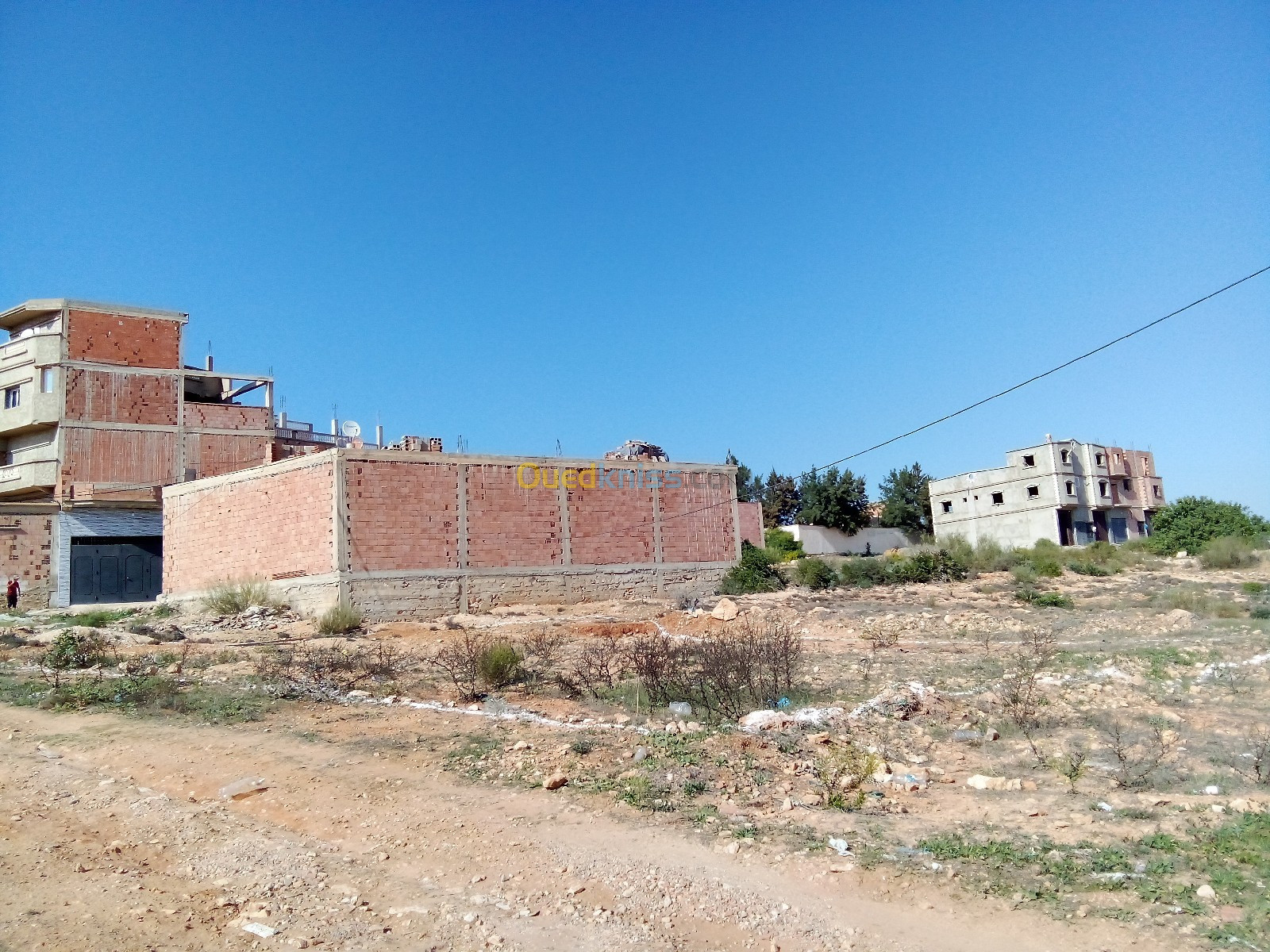 Vente Terrain Mostaganem Sayada