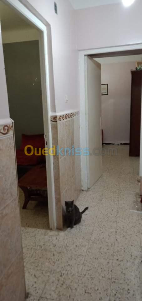 Vente Appartement F3 Sétif El eulma