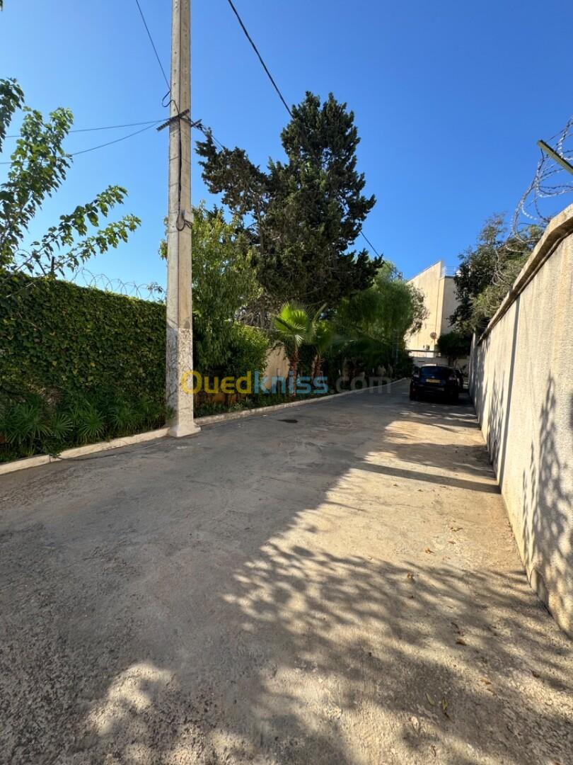 Vente Terrain Alger El biar