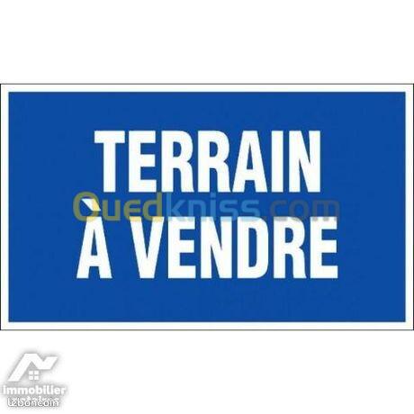 Vente Terrain Alger Belouizdad