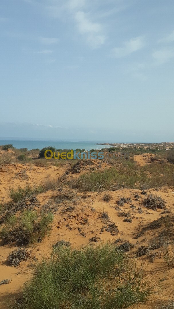 Vente Terrain Mostaganem Abdelmalek ramdane