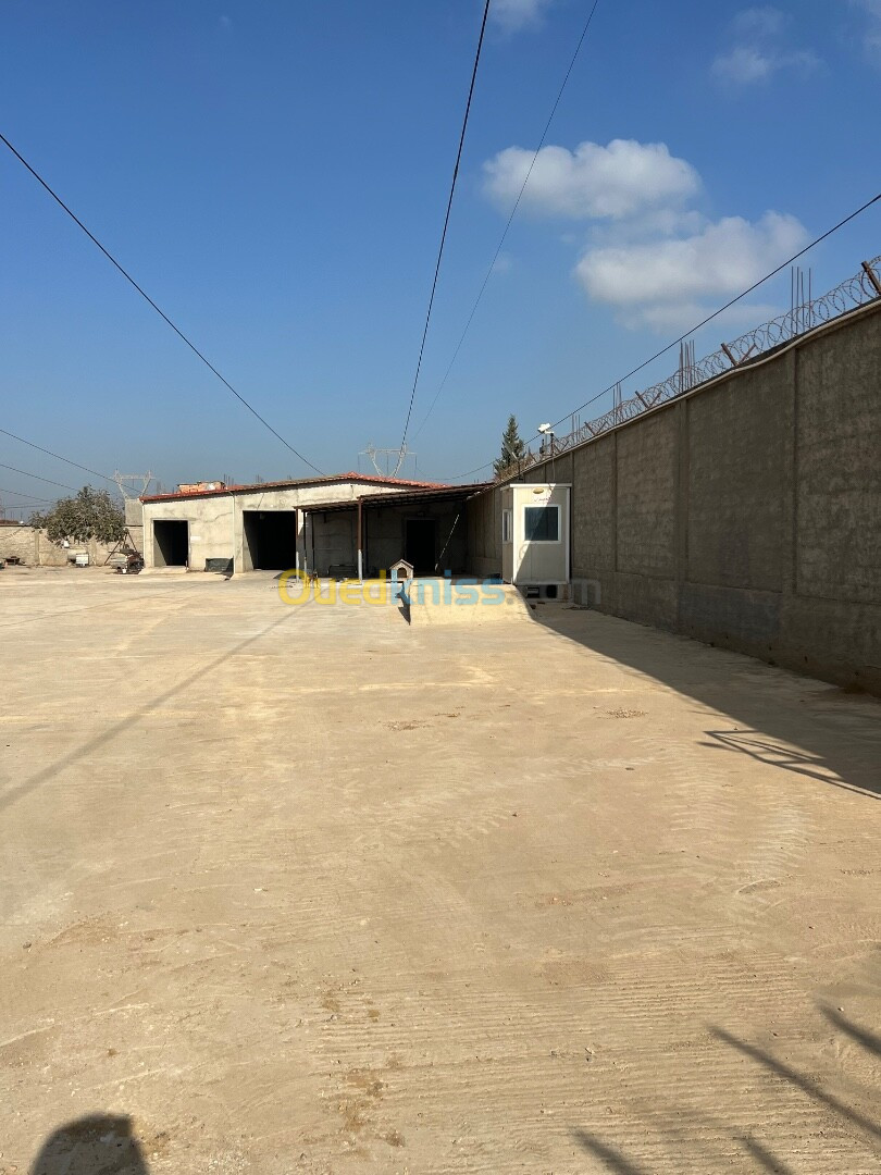 Location Hangar Boumerdès Boudouaou