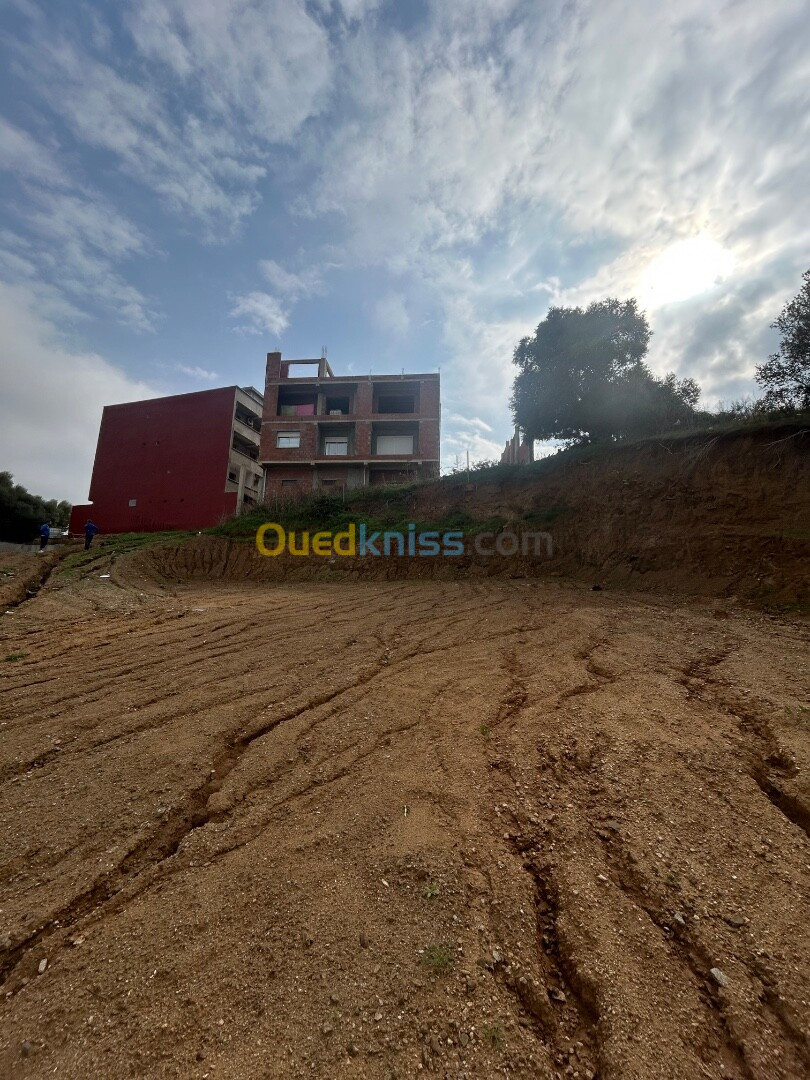 Vente Terrain Boumerdès Tidjelabine