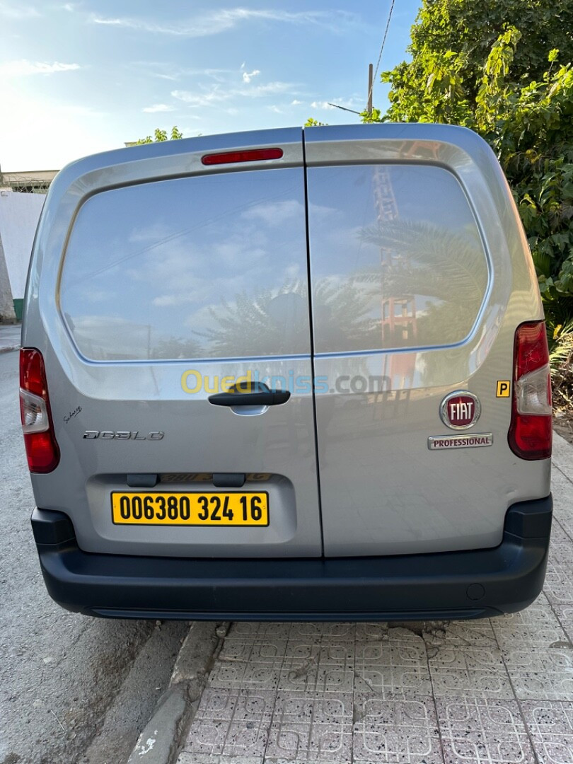 Fiat Doblo 2024 Professional