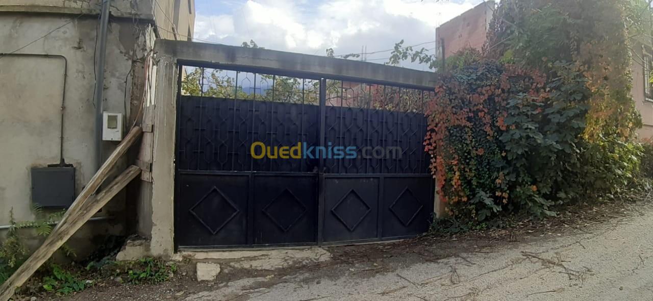 Vente Villa Blida Guerrouaou