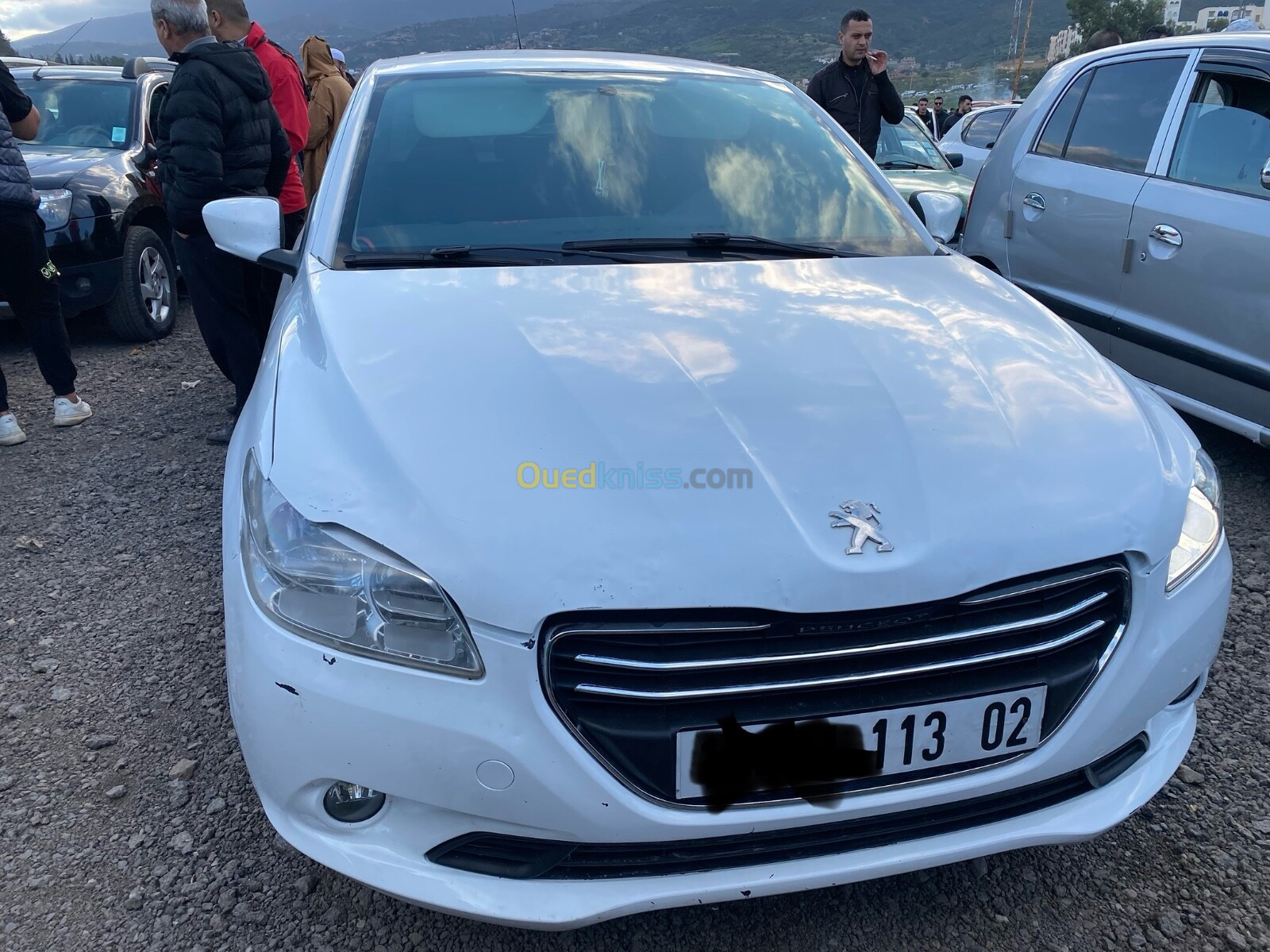 Peugeot 301 2013 301