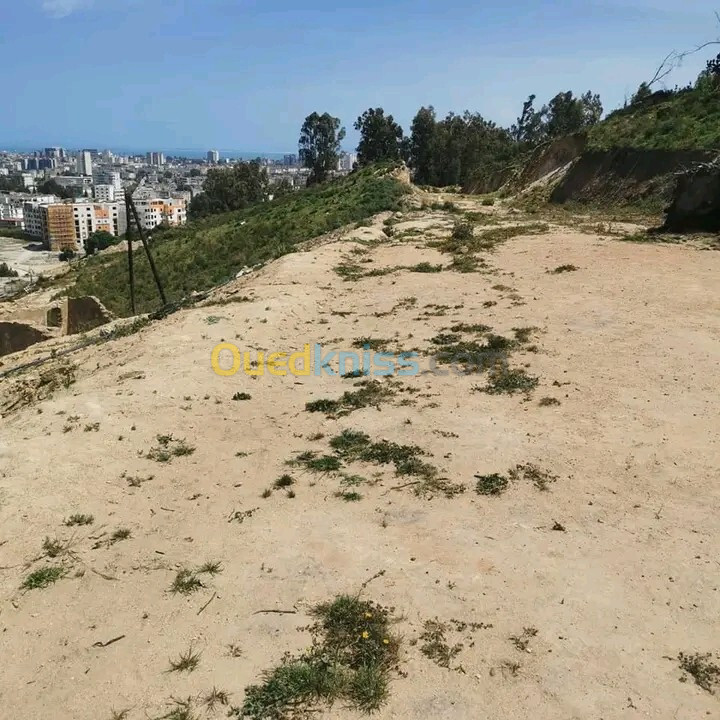 Vente Terrain Annaba Annaba