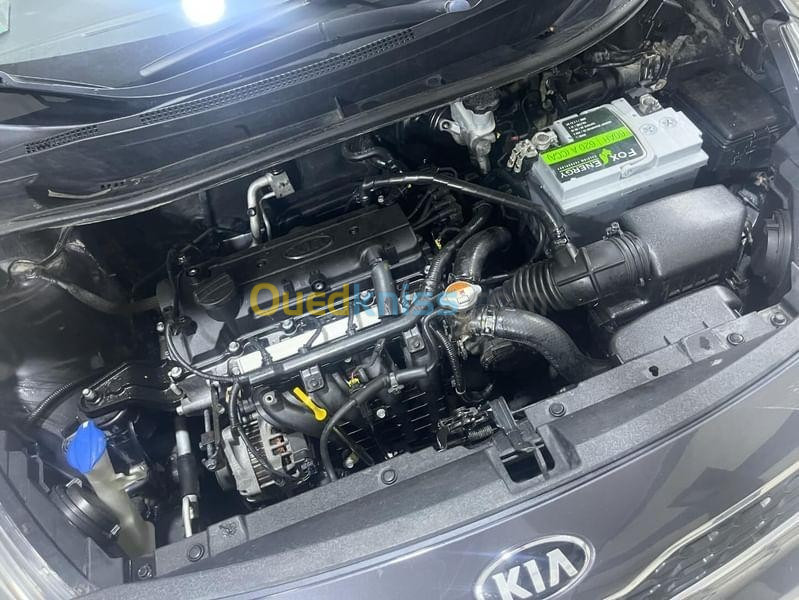 Kia Rio 5 portes 2014 