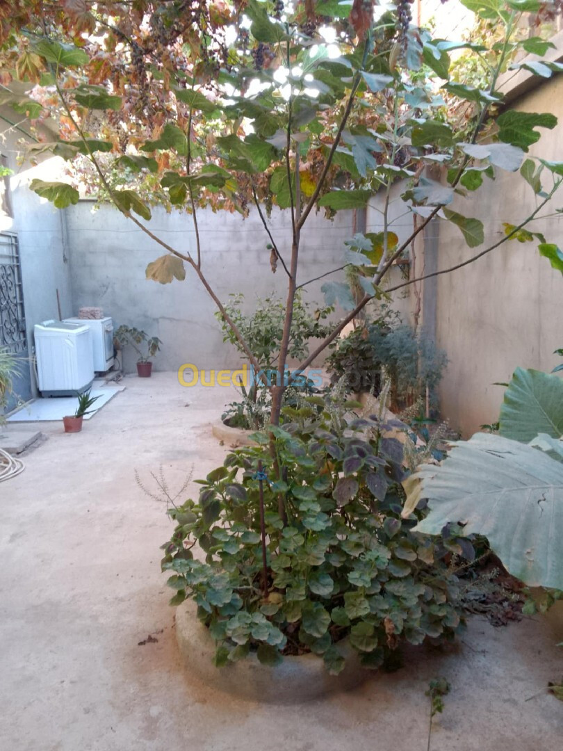 Vente Villa Blida Ouled selama