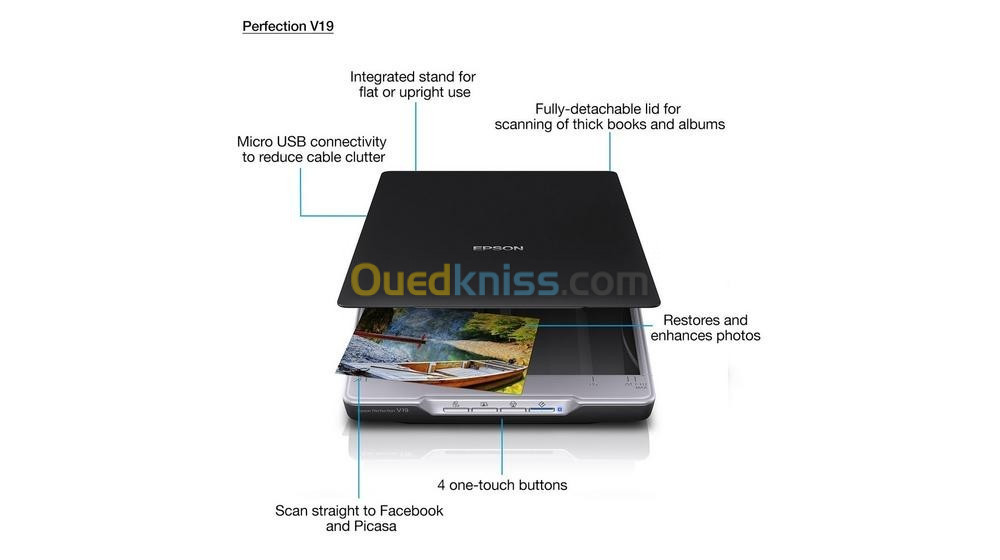 Scanner Epson Perfection V19 A4