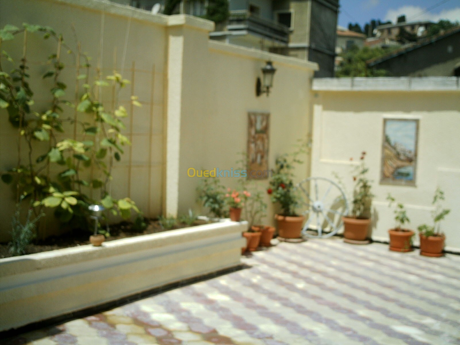 Location Niveau De Villa F5 Alger El biar