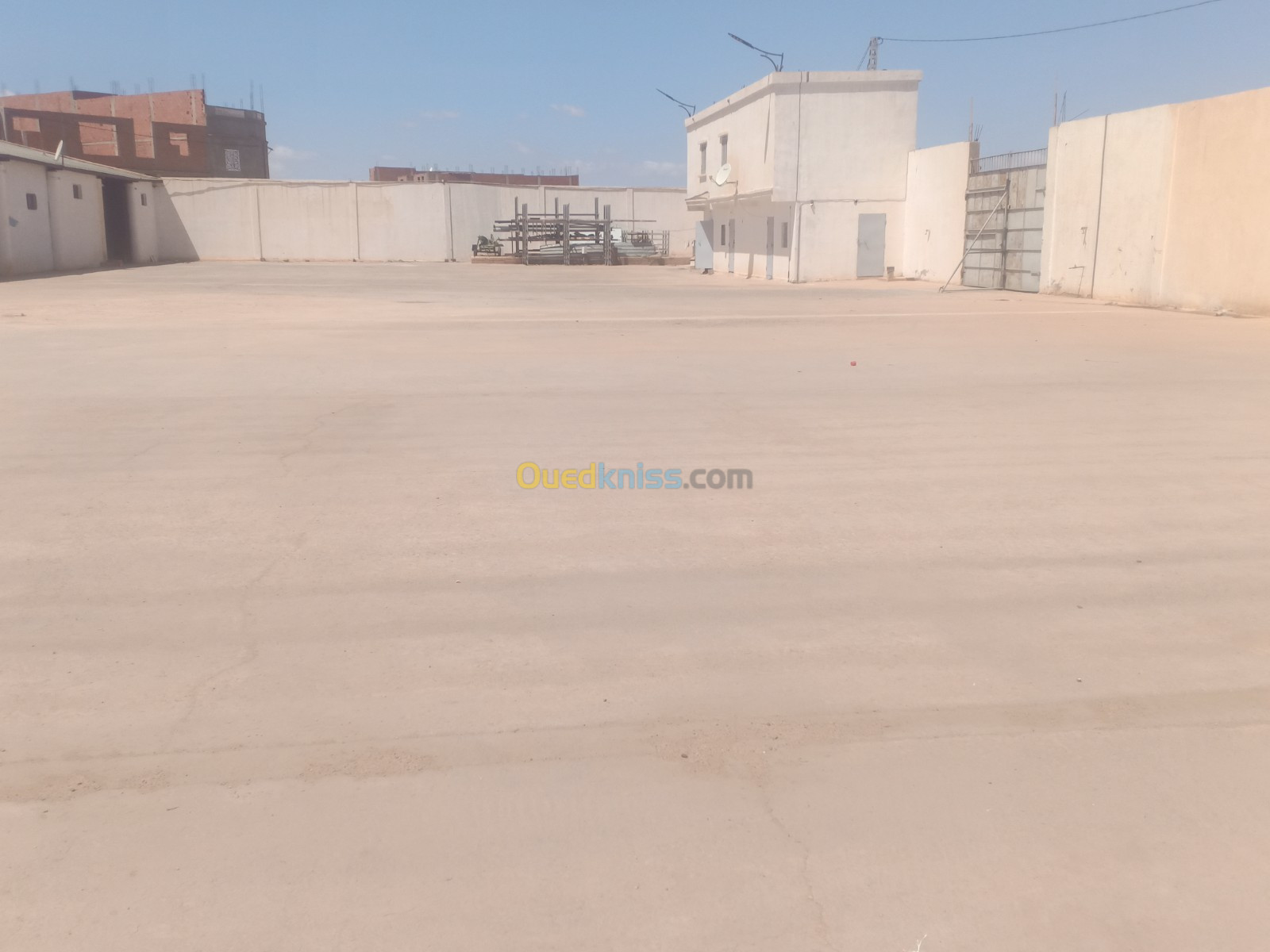 Location Hangar Saïda Youb