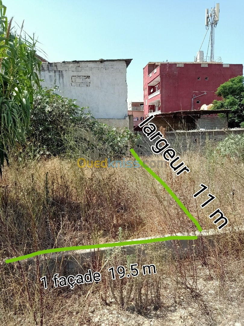 Vente Terrain Alger Dar el beida