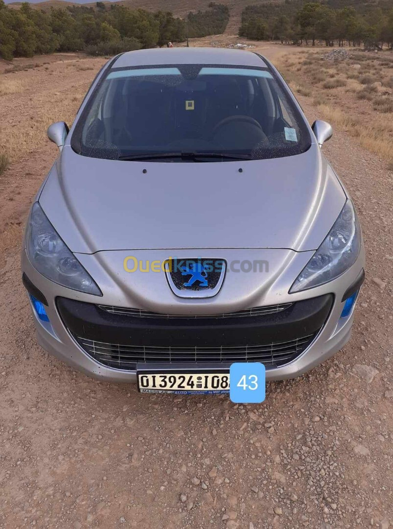 Peugeot 308 2008 Platinum 