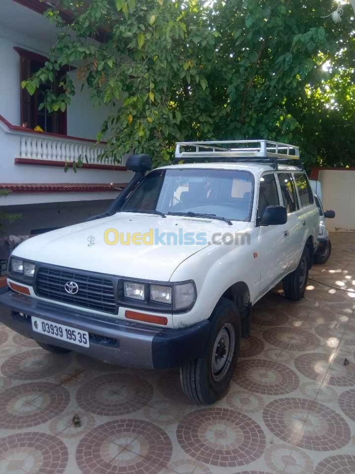 Toyota Land Cruiser SW 1995 Land Cruiser SW