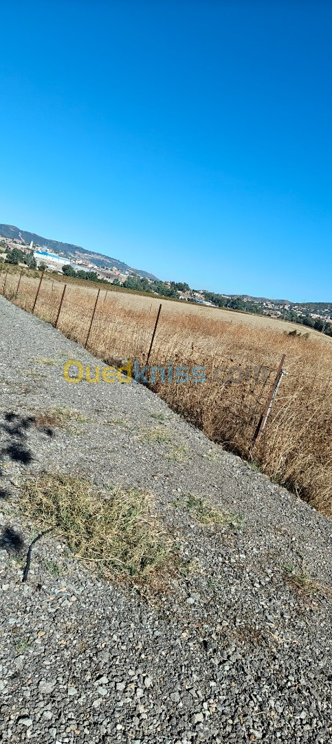 Vente Terrain Boumerdès Tidjelabine