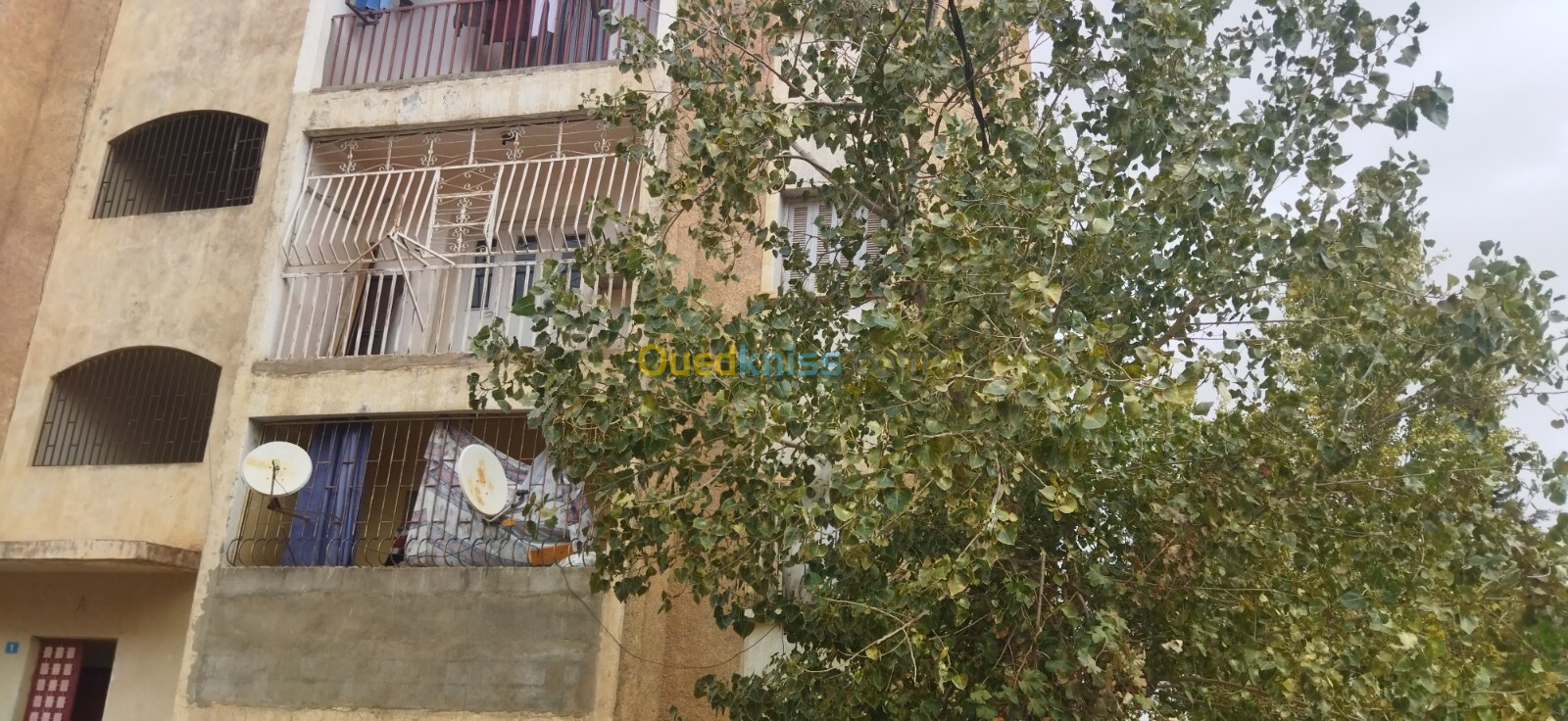 Vente Appartement F3 Sidi Bel Abbès Sidi bel abbes