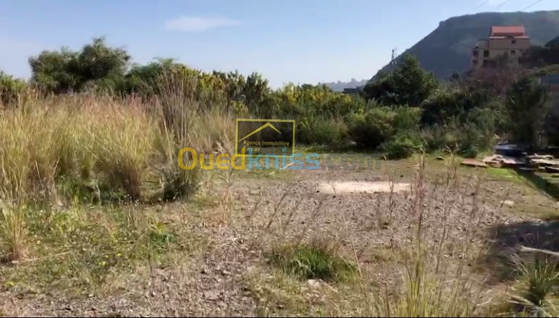 Vente Terrain Béjaïa Bejaia