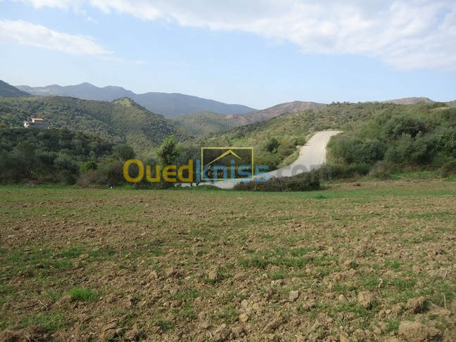 Vente Terrain Bejaia Toudja