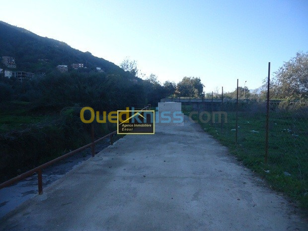 Vente Terrain Béjaïa Tala hamzadaira