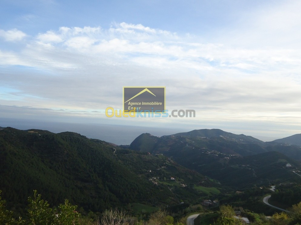 Vente Terrain Bejaia Bejaia