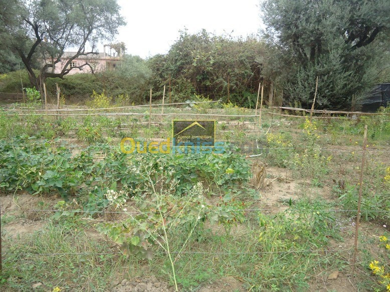 Sell Land Bejaia Bejaia