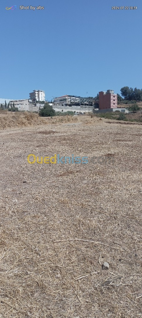 Vente Terrain Boumerdès Ouled moussa