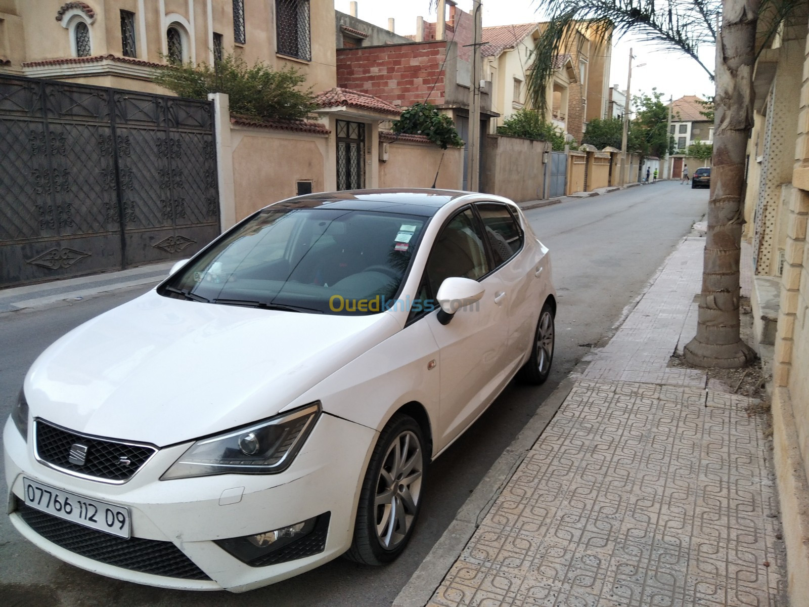 Seat Ibiza 2012 Edition 50