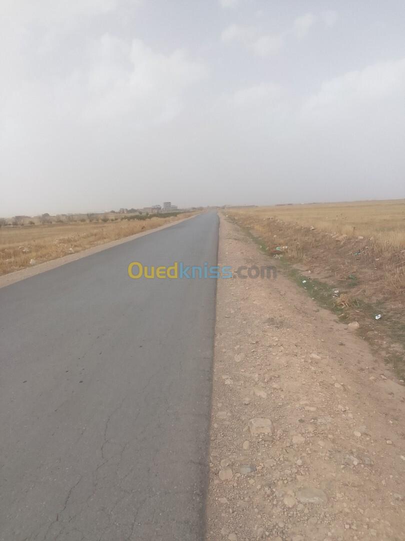 Vente Terrain Sétif El eulma