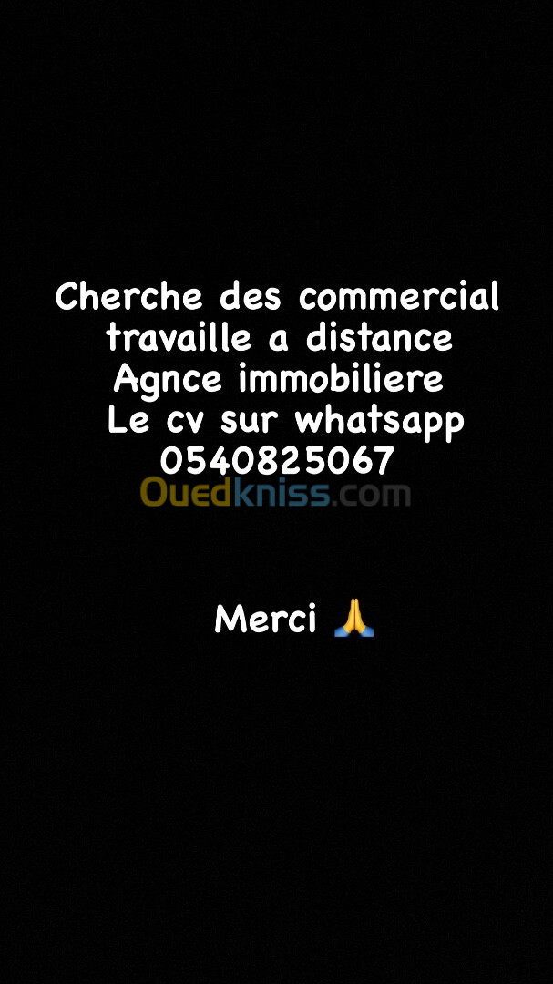 Commercial à distance 