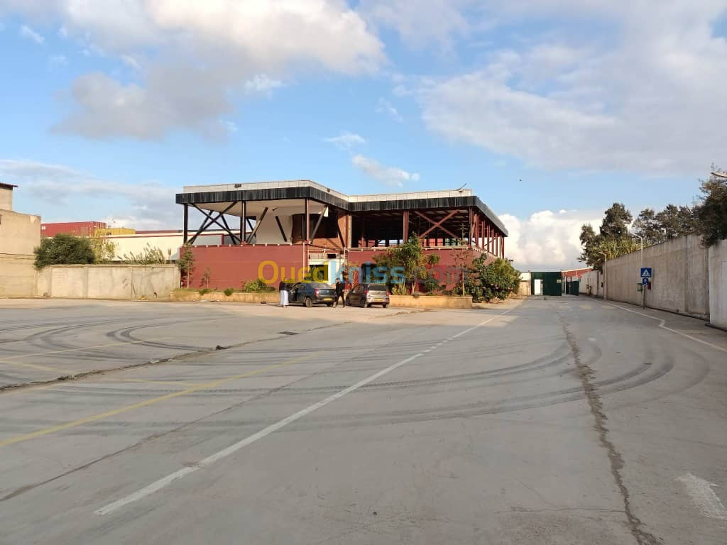 Location Hangar Alger Baraki