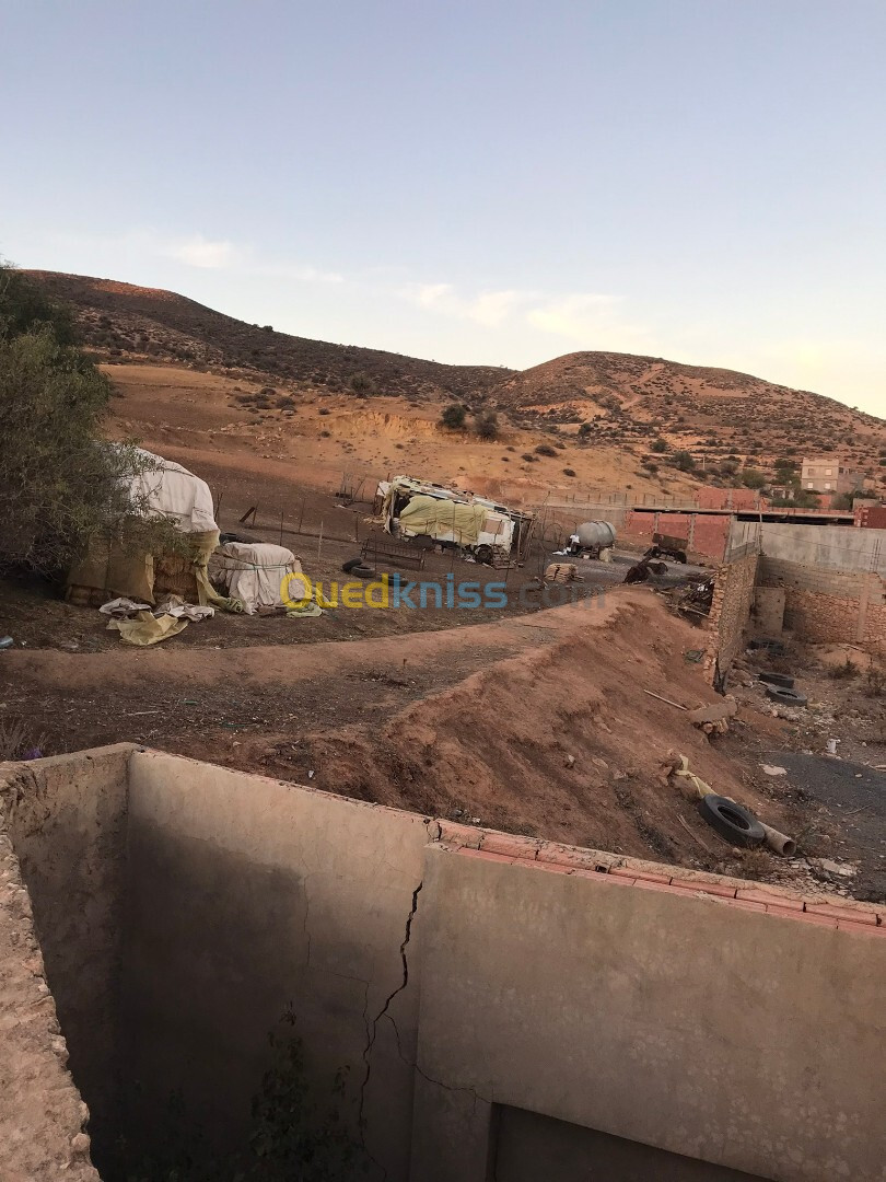 Vente Terrain Sidi Bel Abbès Ain el berd