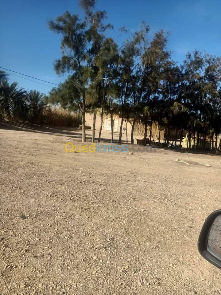 Vente Terrain Biskra Oumache