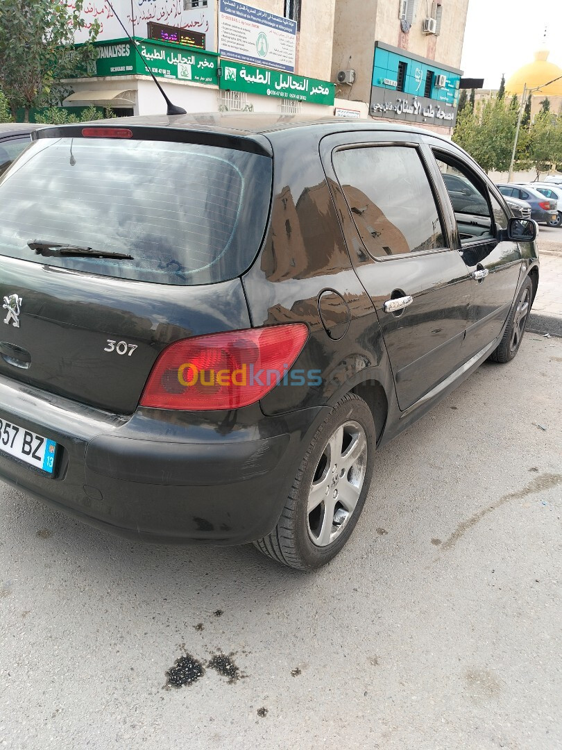 Peugeot 307 2003 XT