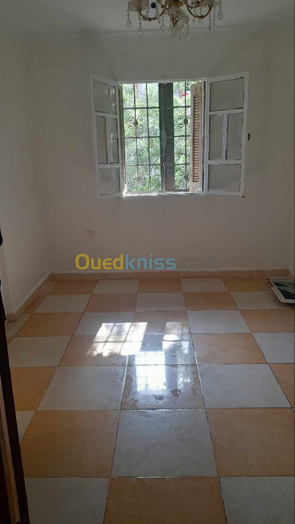 Location Appartement Blida Blida