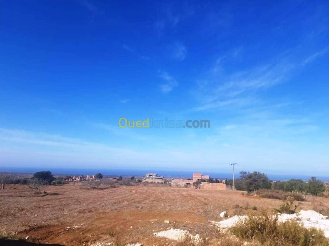 Vente Terrain Mostaganem Sidi lakhdaara