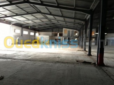 Location Hangar Alger Les eucalyptus