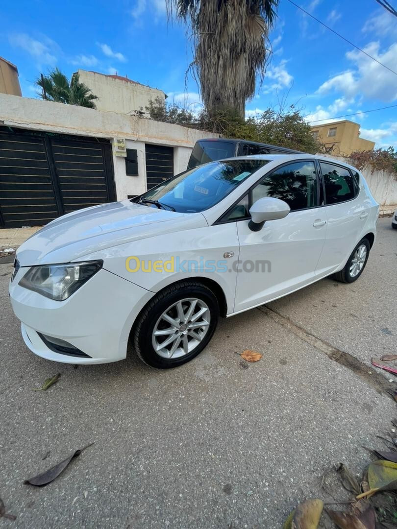 Seat Ibiza 2013 Fully