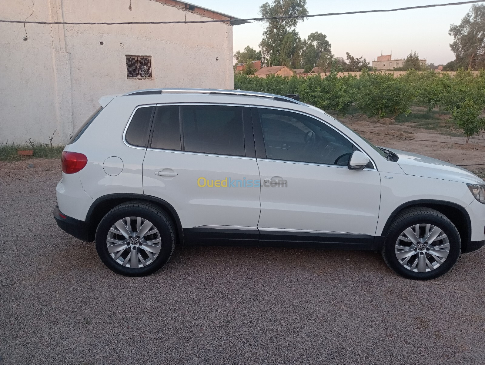 Volkswagen Tiguan 2013 Life