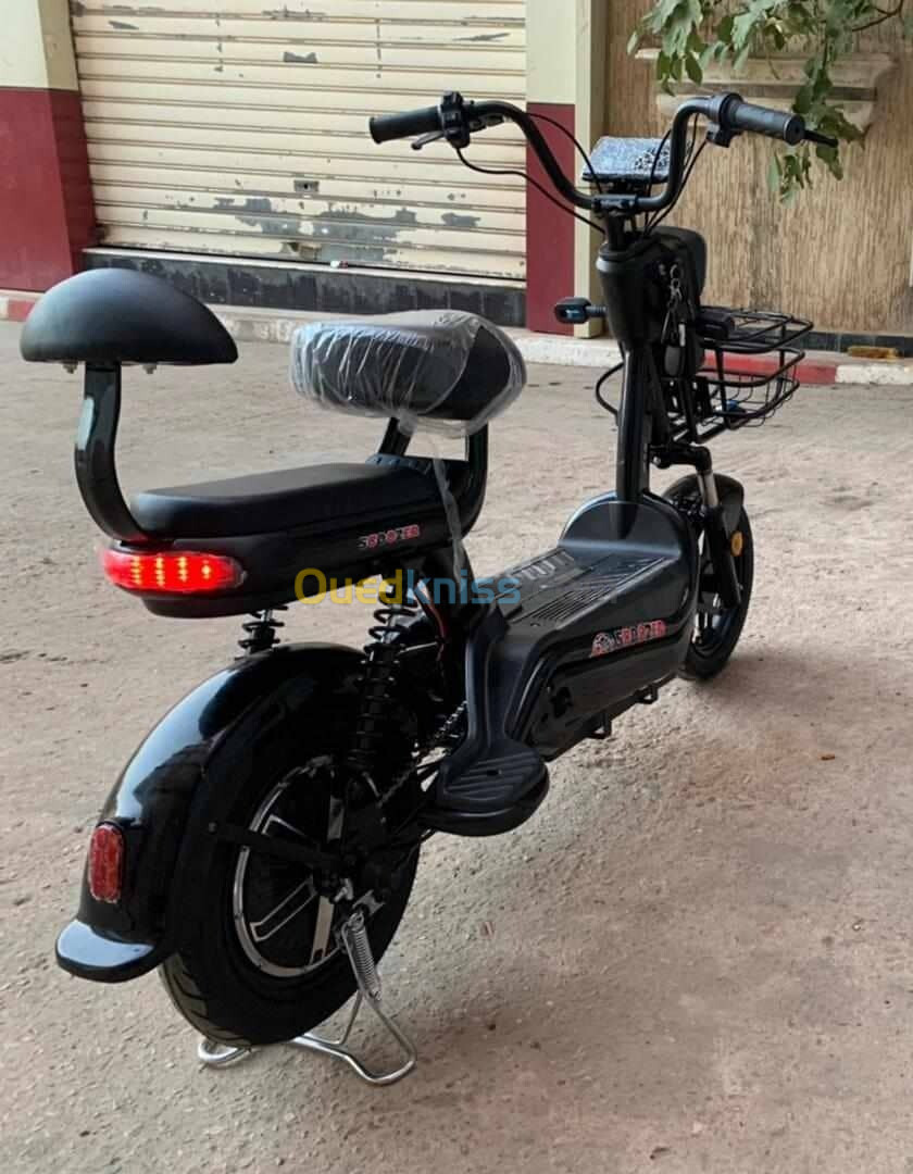 Scoozer Scooter électrique 2024