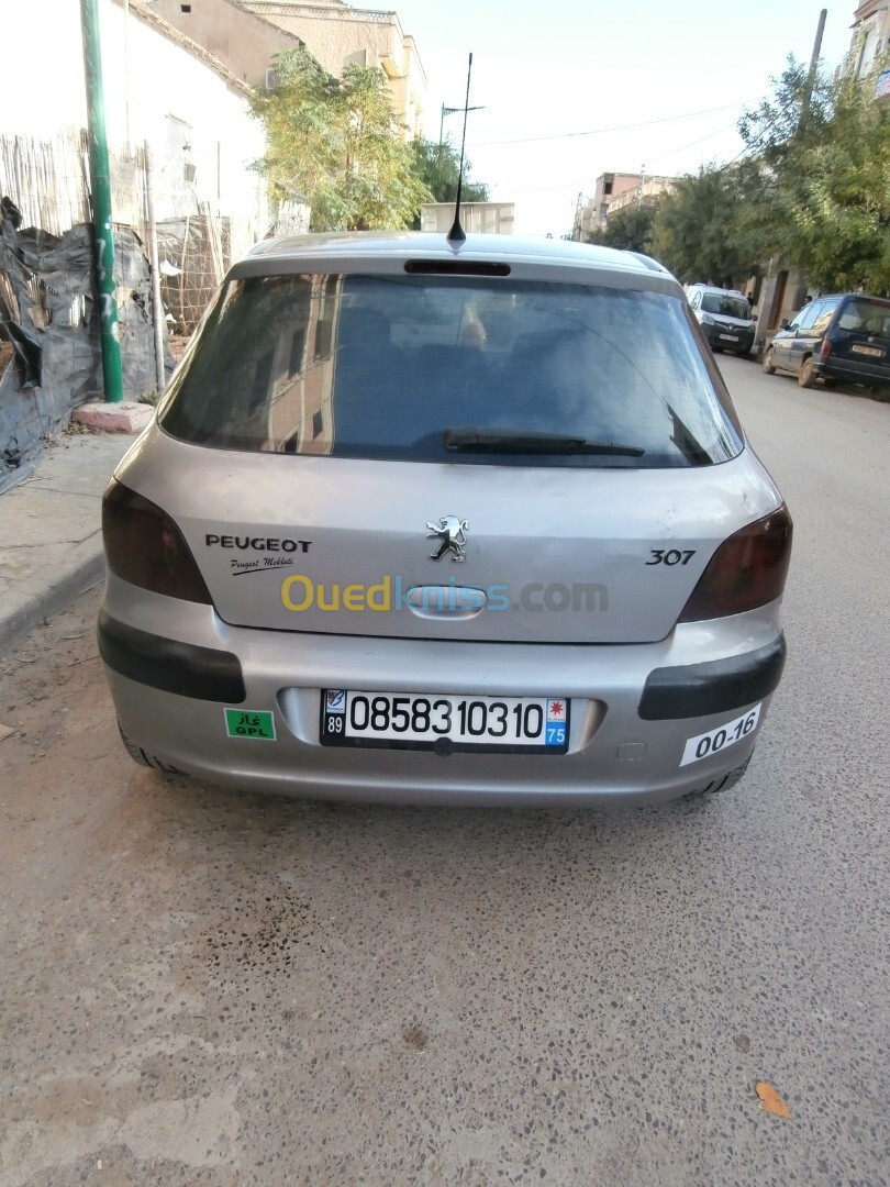 Peugeot 307 2003 XT