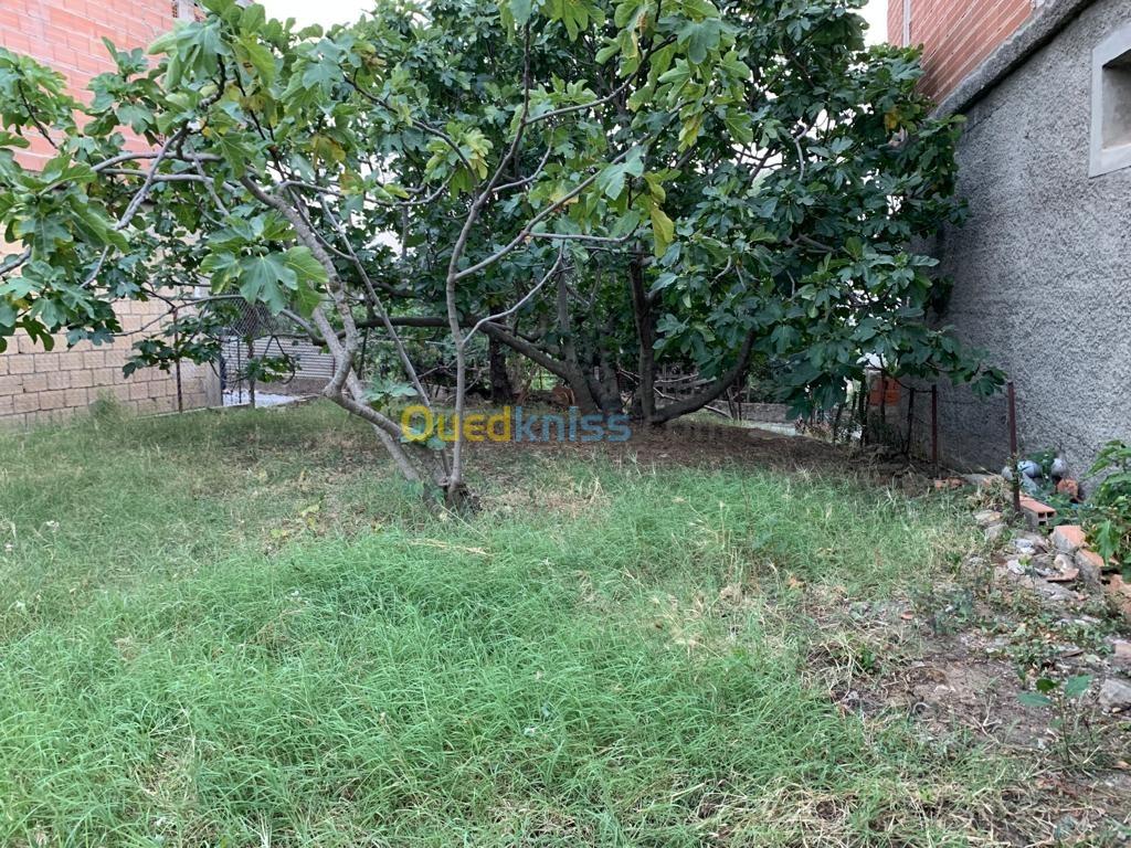 Vente Terrain Tizi Ouzou Azazga Tizi Ouzou Algérie