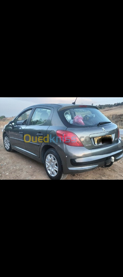 Peugeot 207 2007 207