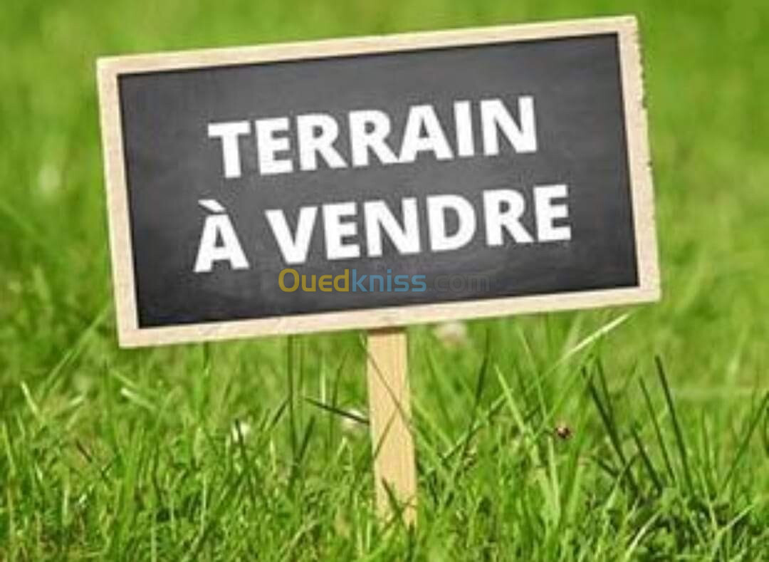 Vente Terrain Oran Oran