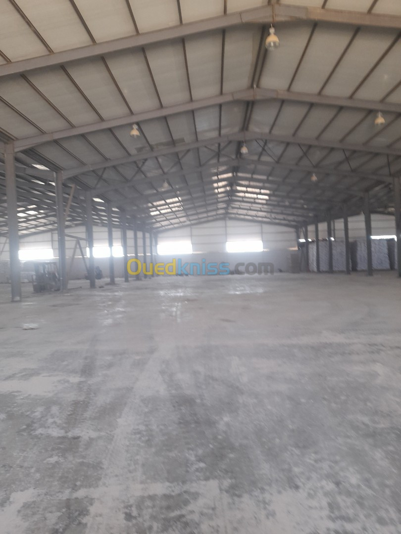 Location Hangar Oran Oued tlelat