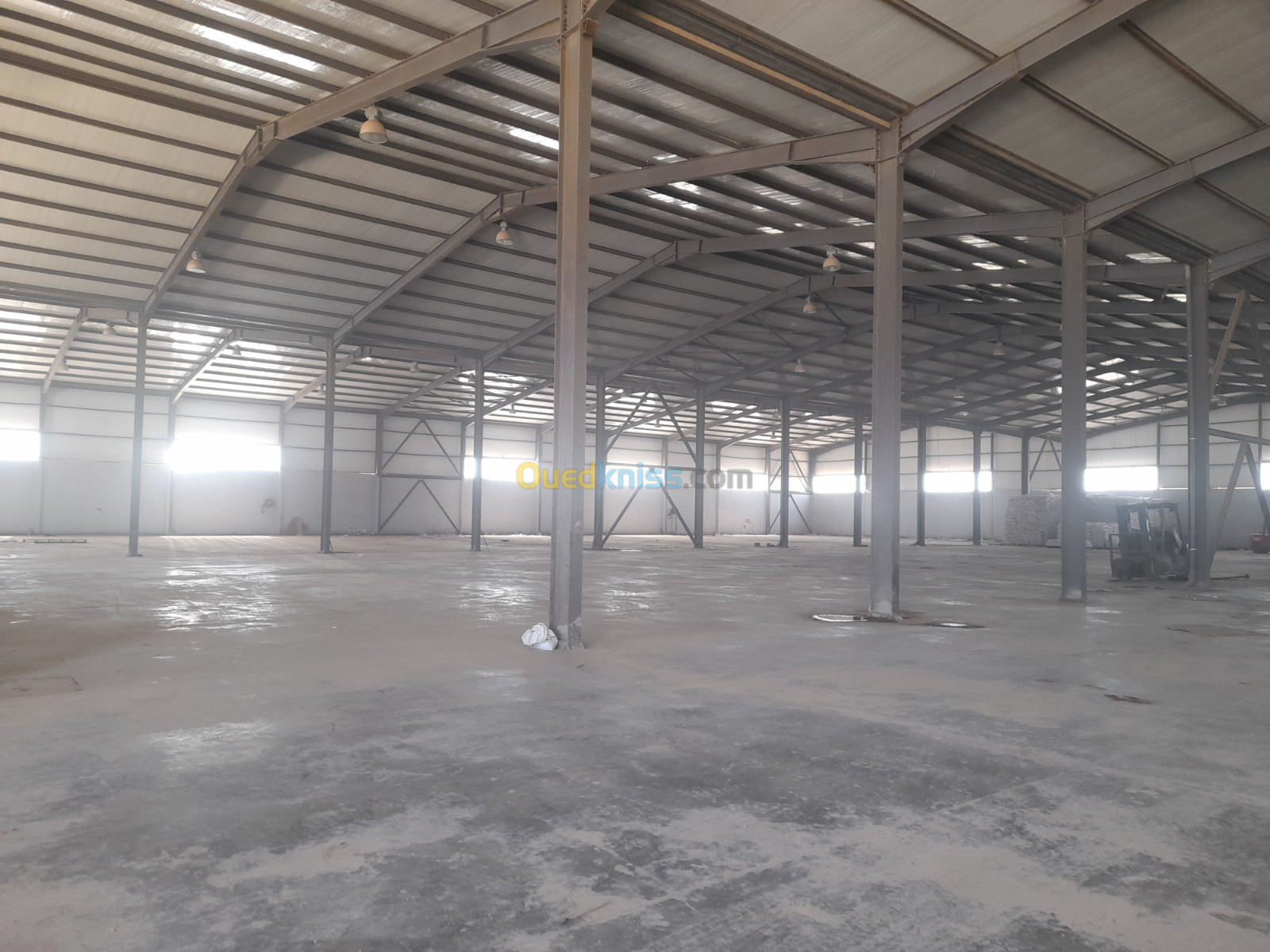 Location Hangar Oran Oued tlelat